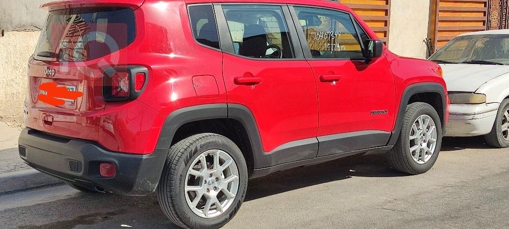 جيب رينيجيد